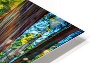 Big Tree Laminae HD Metal print