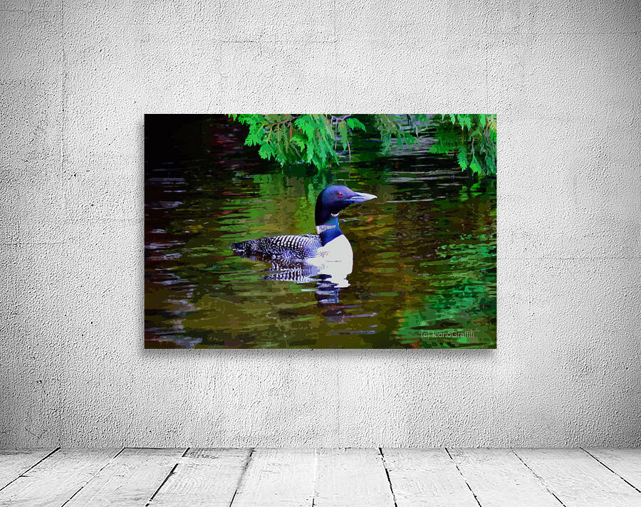 Red-Eyed Loon Wall Preview