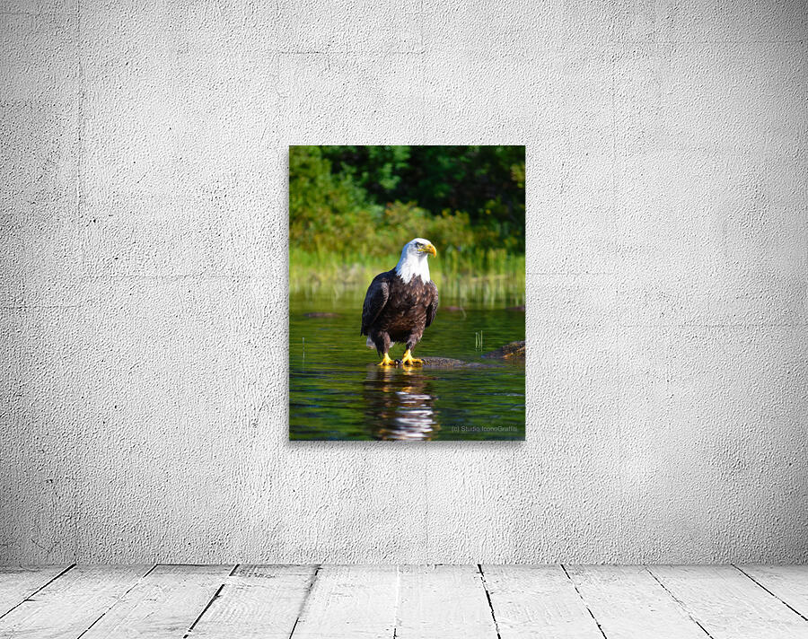 Parker Pond Eagle Wall Preview