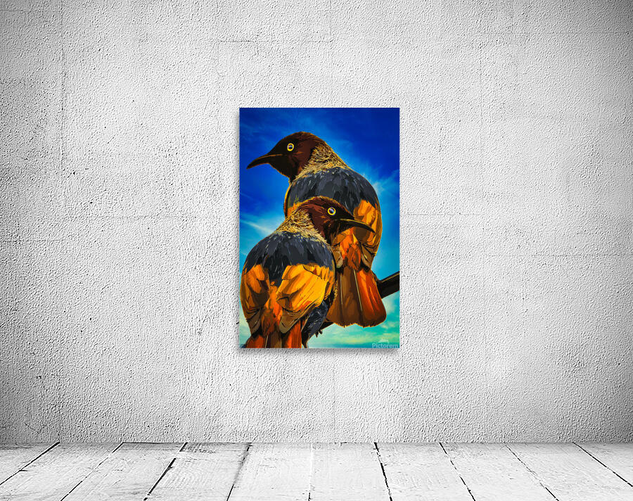Bird Bros Wall Preview