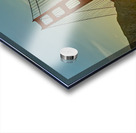 Cruise Ship in Juneau Alaska Acrylic print