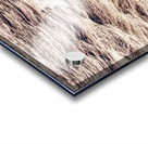 Pilot Boat with Cruise Ship Leaving Roatan Acrylic print