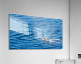 Family Boating in Avalon Bay Acrylic Print