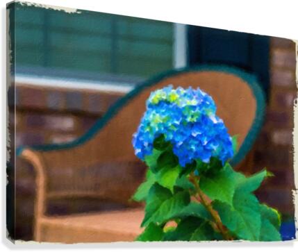 Blue Hydrangea in Oil Canvas Print