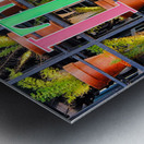 Plants with IT! Sign Metal print