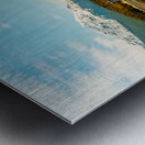 Cruise Ship in Juneau Alaska Metal print