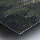 Bare Trees in Evergreens Metal print