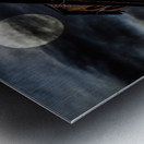 Old Building on Via St Maria in Pisa Metal print