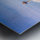 Seattle From Sea Metal print