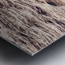 Pilot Boat with Cruise Ship Leaving Roatan Metal print