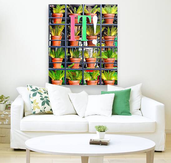 Plants with IT! Sign Reproduction