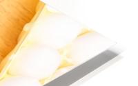 Making Omelets HD Metal print