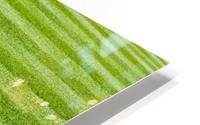 Mowed Grass Field HD Metal print