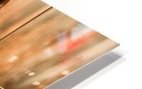 OldLocksandChain HD Metal print