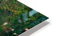 NewPavementThroughForest HD Metal print