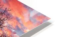 TreeSillouetteatSunset HD Metal print