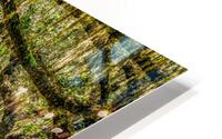 Wormsloe Plantation HD Metal print