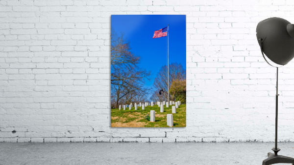American Flag Over Military Graves Wall Preview