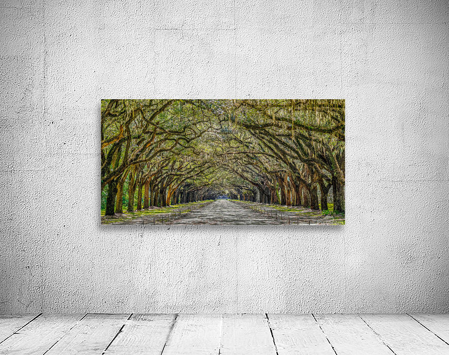 Wormsloe Plantation Wall Preview