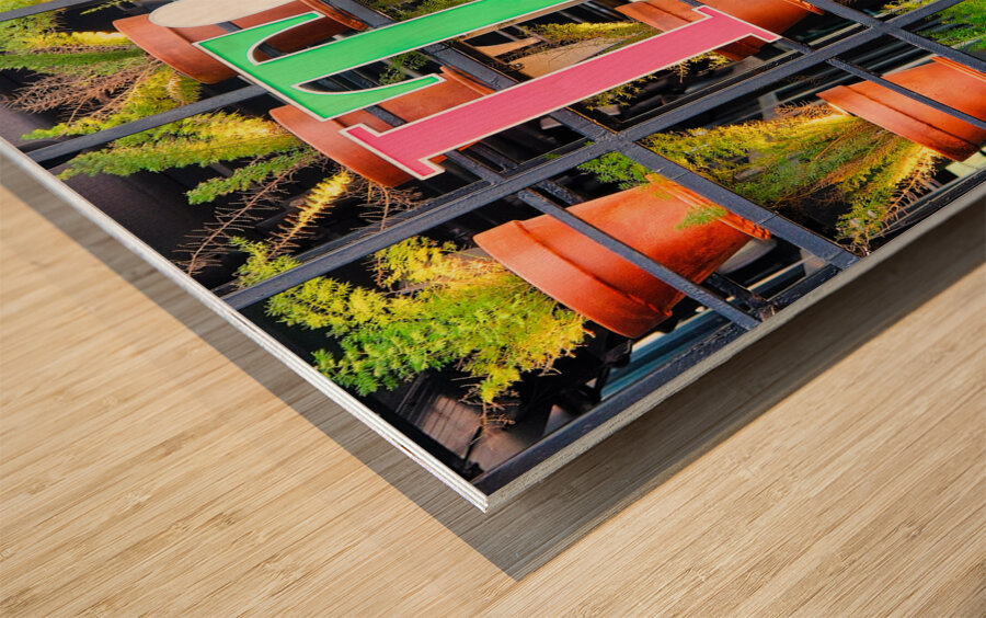 Plants with IT! Sign Wood print