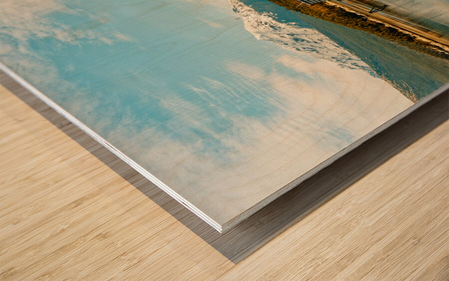 Cruise Ship in Juneau Alaska Wood print