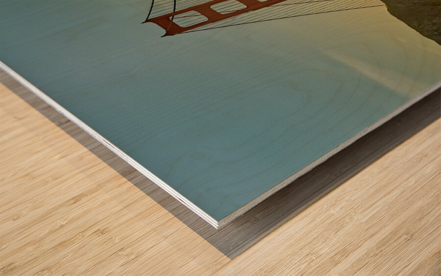 Cruise Ship in Juneau Alaska Wood print