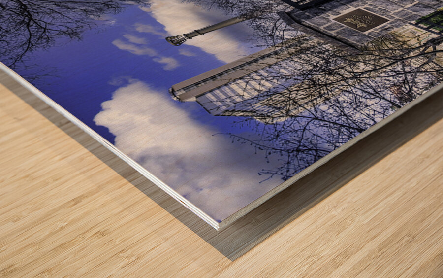 Gate to Olympic Centennieal Park Wood print