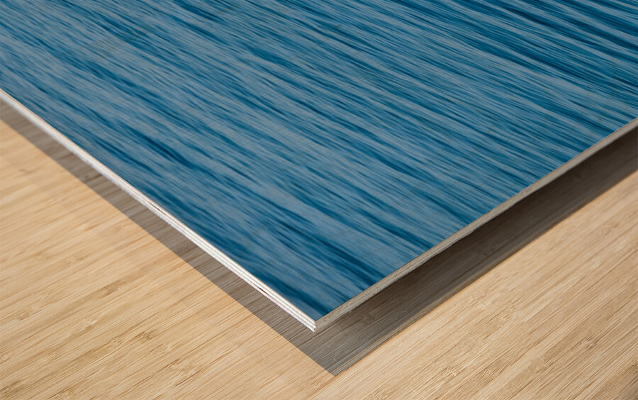 Family Boating in Avalon Bay Wood print