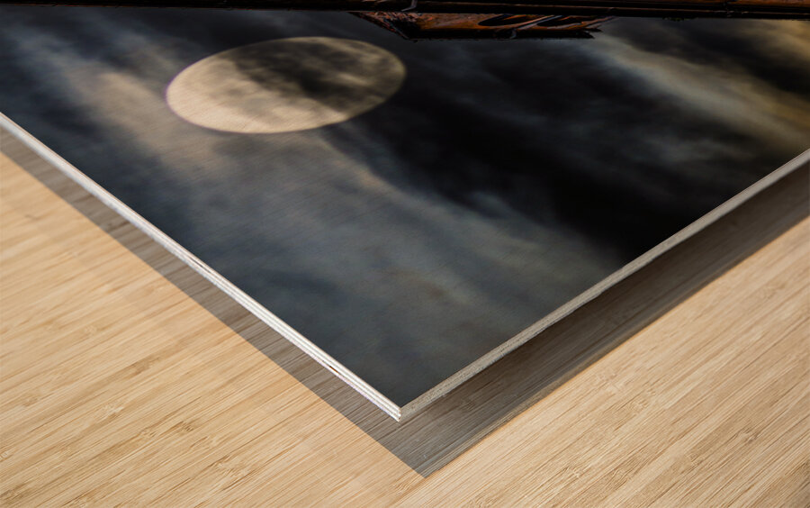 Old Building on Via St Maria in Pisa Wood print