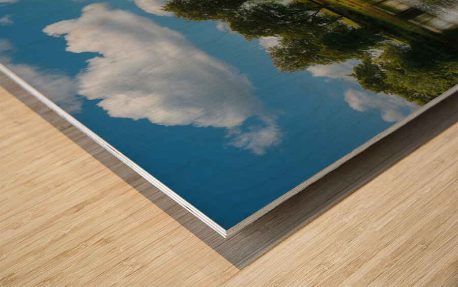 Sod Covered Homes in Sunnmore Museum in Alesund Norway Wood print