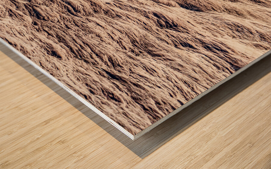 Pilot Boat with Cruise Ship Leaving Roatan Wood print