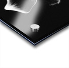 Black  White Floral Series 9 Acrylic print