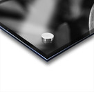 Black  White Floral Series 6 Impression Acrylique