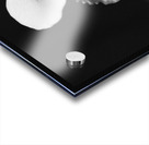 Black  White Floral Series 10 Acrylic print