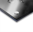 Black  White Floral Series 7 Impression Acrylique