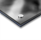 Black  White Floral Series 13 Acrylic print