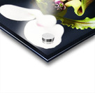 Green Orchid Acrylic print