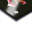 Red Orchid 2 Acrylic print