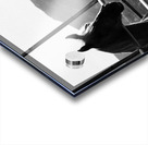 Horse amidst the mountains Acrylic print