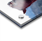 Horse Sparring 2 Impression Acrylique