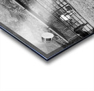 Horse Stretch Acrylic print