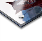 Horses Sparring Acrylic print