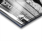 Magnificent Horse Pose 2 Acrylic print