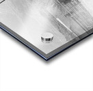 Black Horse Dust Acrylic print