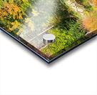 Green Oasis Acrylic print