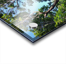 Forest Through The Trees Acrylic print