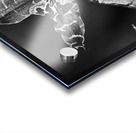 Spotted Orchid Acrylic print