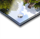 The Survivor Acrylic print