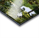 Capri homestead Acrylic print