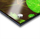 Butterfly Soars Acrylic print